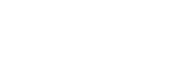 logo-bfa